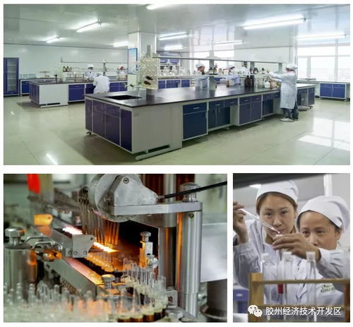 集中簽約，示范區(qū)明星企業(yè)精彩亮相——精心設(shè)計(jì)網(wǎng)站助力招商盛會(huì)